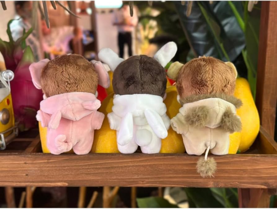 王一博　10cmぬいぐるみ 3体セット　洋服付き 王一博 10cmぬいぐるみ 3体セット 洋服付き